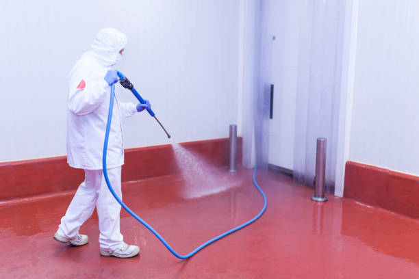Reliable Richwood, LA Pressure Washing Services Solutions